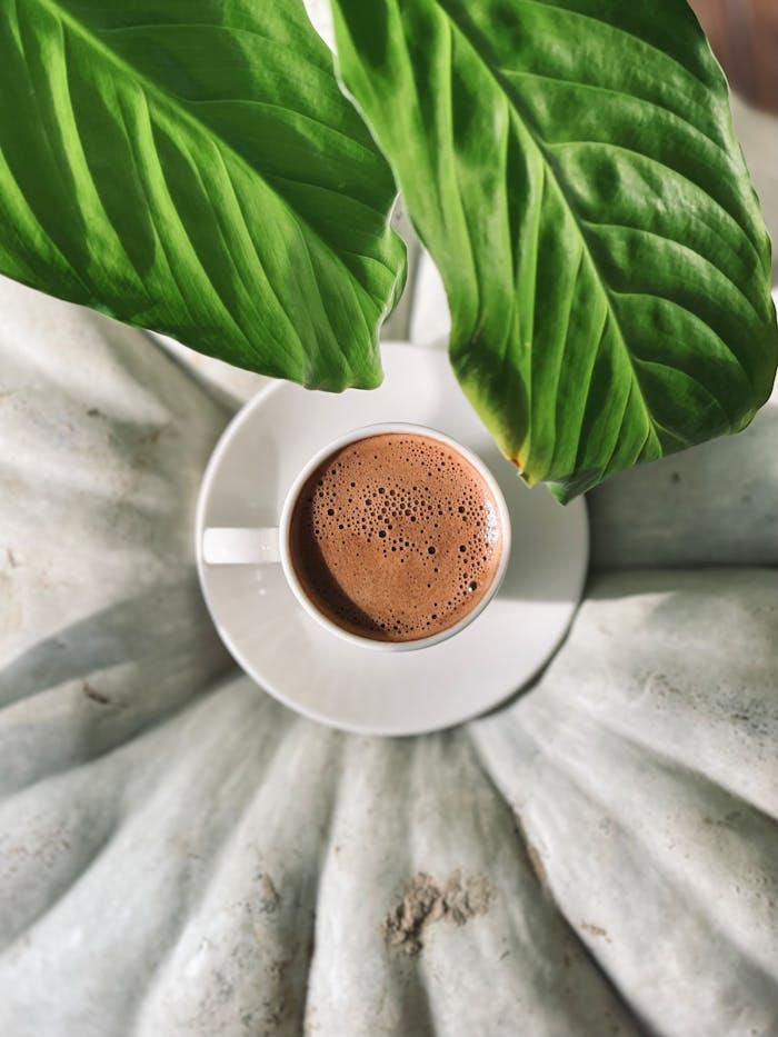 Top-down shot of a coffee cup surrounded by lush tropical leaves.